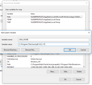How to set JAVA_HOME path in Windows 7/ 8/10 | TechieRoop
