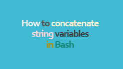 How to concatenate string variables in Bash